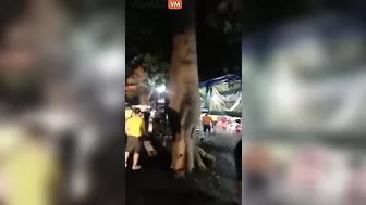 Horrifying Video Shows Truck Driver Running Over Pro-Bolsonaro Supporters