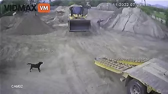 Man Crushed While Lowering Truck Ramp - Video - VidMax.c