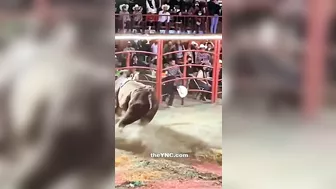 Rodeo Participant Dies After Falling And Being Kicked In The Chest