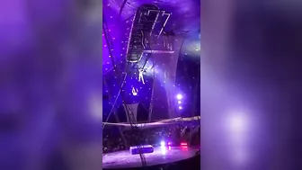 Horrifying Circus Acrobat Falls 20ft During Performance