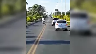 Stupid Cyclists Cause Accidents