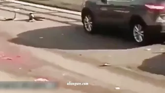 The Moment The Motorcyclist Fell Under The Wheels Of A Tractor