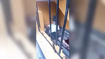 The Thief Fell From The Third Floor And Cried Like A Madman.