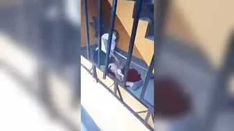 The Thief Fell From The Third Floor And Cried Like A Madman.