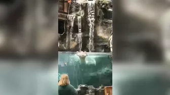 Totally Crazy Guy Crashes His Car And Runs Into The Bass Pro Shop