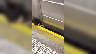 Woman Trapped Between Train And New York City Subway Platform