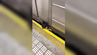 Woman Trapped Between Train And New York City Subway Platform