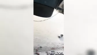 Woman Dies Under Truck Wheels