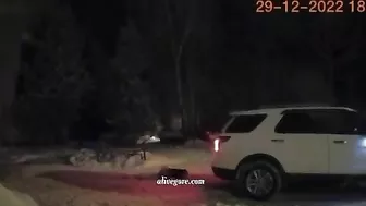 A Woman Lies On The Street, Crushed By A Passing Car. Russia