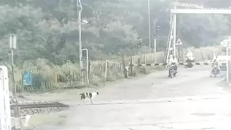 Woman Crushed By Two Trucks After Accident