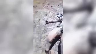 Woman Survives Helicopter Crash In Intense Pain