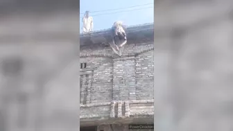 Worker Electrocuted