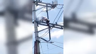 [Accident And Consequences] Worker Electrocuted To Death In Rio