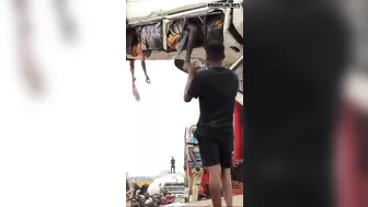 16 Killed, 17 Injured In Bus Accident