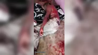 Three Injured In Gang Attack