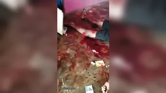 Three Injured In Gang Attack