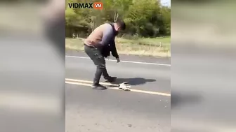 Man Was Crushed To Death After Trying To Save A Lizard From Being Hit By The Road