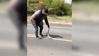 Man Was Crushed To Death After Trying To Save A Lizard From Being Hit By The Road