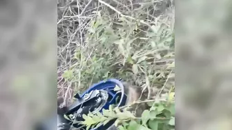 Minor Accident In Brazil