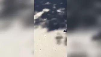 The Consequences Of A Head-on Collision Between Motorcyclists
