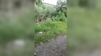 Consequences Of A Minibus Accident
