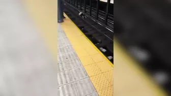 At First He Pretended, Then He Got Electrocuted
