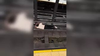 At First He Pretended, Then He Got Electrocuted