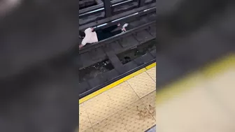 At First He Pretended, Then He Got Electrocuted