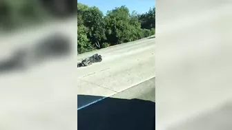 The Cyclist Began To Stagger And Fell Safely