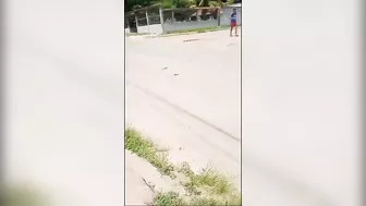 The Cyclist Was Still Breathing, With Blood And Brain Pouring Out Of His Skull