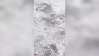 Cyclist Brutally Dismembered By Partition