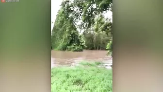 British Backpacker Trapped Underwater In Scooby-Doo Van