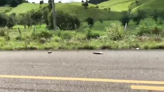 Brutal Accident Involving A Group Of Motorcyclists