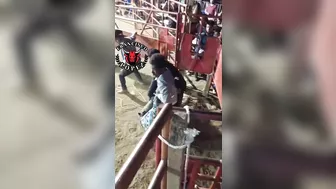 Brutal Bull Attack Compilation