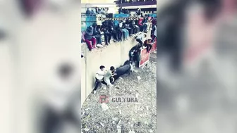 Bull Sacrifice Compilation