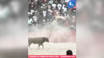 Bull Sacrifice Compilation