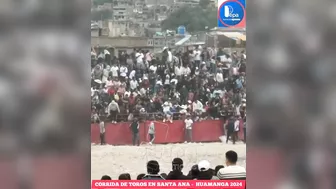 Bull Sacrifice Compilation