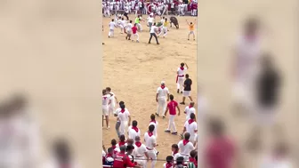 Bull Sacrifice Compilation