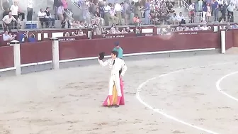 The Bull Seriously Injured Two Matadors, One Of Whom Had A Scrotal Injury