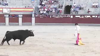 The Bull Seriously Injured Two Matadors, One Of Whom Had A Scrotal Injury