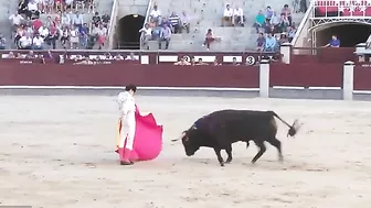 The Bull Seriously Injured Two Matadors, One Of Whom Had A Scrotal Injury