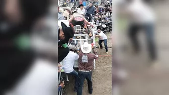 Matador Ladder Dies In Hospital