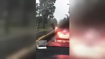 Car Stuck In Wires Looks Like It's Hanging In Mid-air