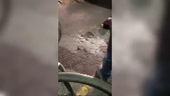 Couple Died Holding Hands