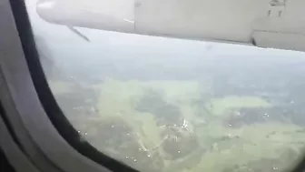 The Deer Tried To Run Onto The Runway But Was Hit By A Plane