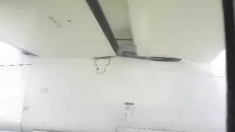 The Deer Tried To Run Onto The Runway But Was Hit By A Plane