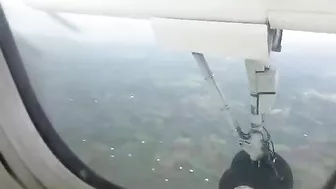 The Deer Tried To Run Onto The Runway But Was Hit By A Plane