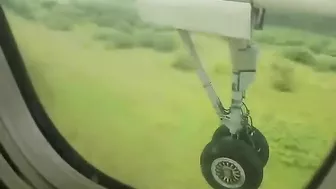 The Deer Tried To Run Onto The Runway But Was Hit By A Plane