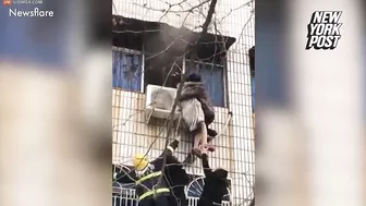 Disabled Man Rescues Pregnant Woman From Burning Building