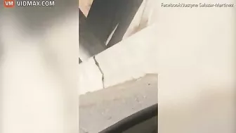 Dozens Of Cattle Scattered On Highway After Truck Accident